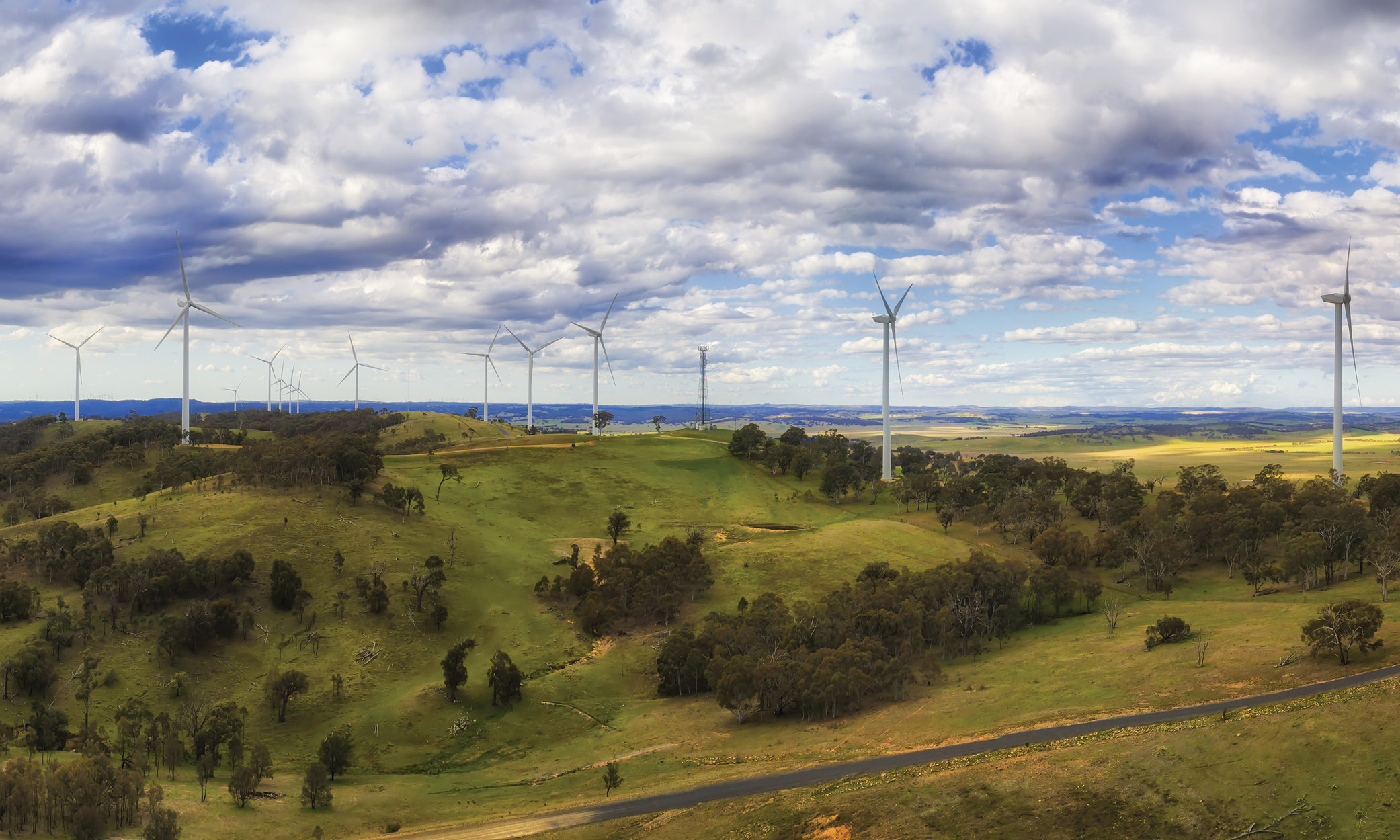 Why late consideration of bird and bat guidelines could delay your wind farm project 